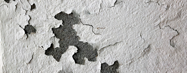 &nbsp;