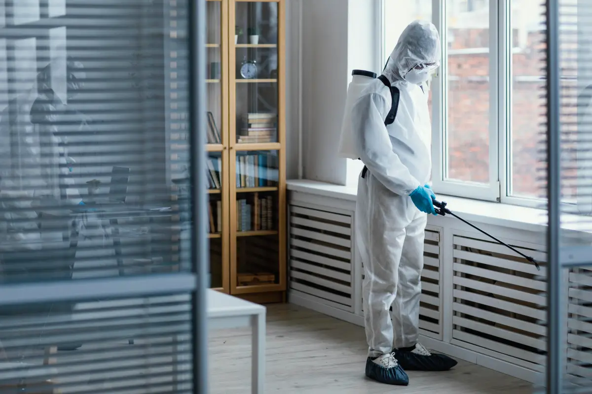 pest control worker spraying apartment for rat infestation