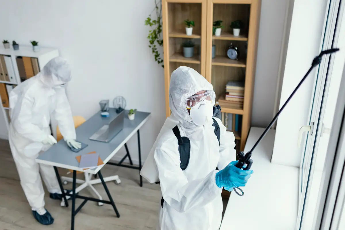 pest control workers disinfecting apartment after rat infestation
